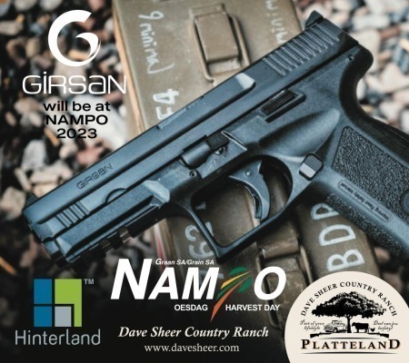 Handgun